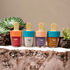 Lip Gloss - Mango Creek | Seemi&
